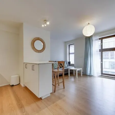 200 Meter To Vltava River, Center! Apartamento